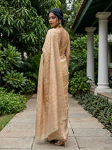 MIMOSA Tussar Banarasi Saree — pose 7 styling detail
