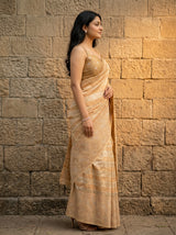 MIMOSA Chiku Banarasi Art Silk Saree — close-up of model's torso and saree drape