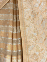 MIMOSA Chiku Banarasi Art Silk Saree — fleets shot full lifestyle