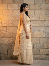 MIMOSA Tussar Banarasi Art Silk Saree — close-up of model's torso and saree drape