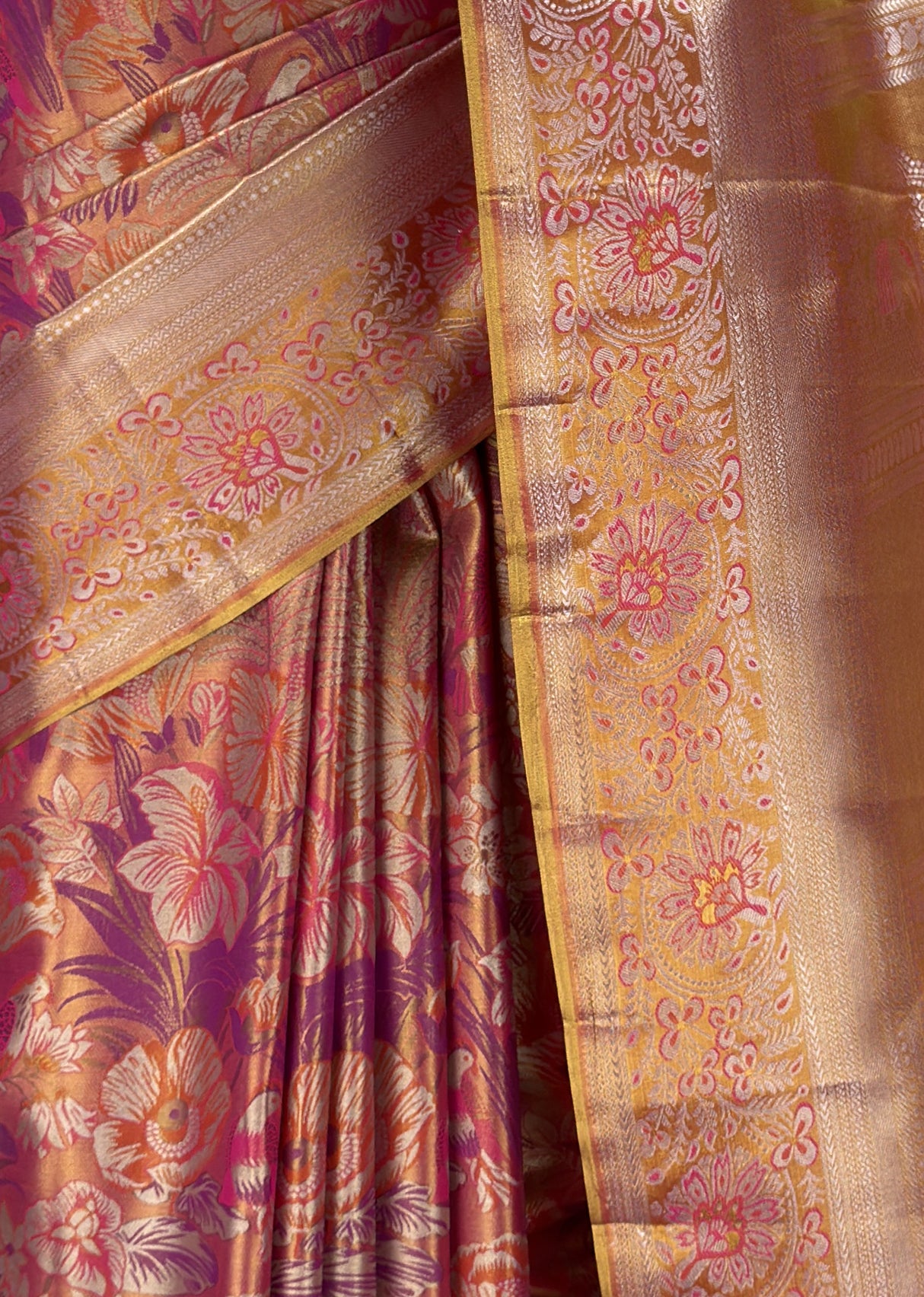 MIMOSA Saree Saree — fleets shot full lifestyle