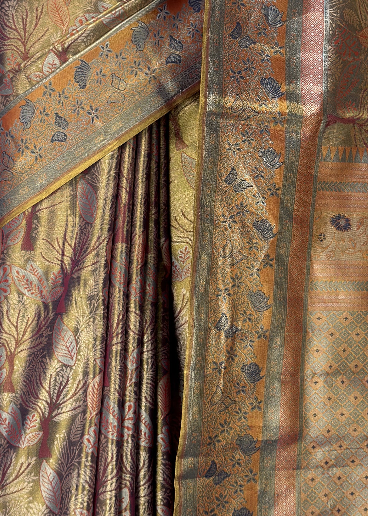 MIMOSA Saree Saree — fleets shot full lifestyle