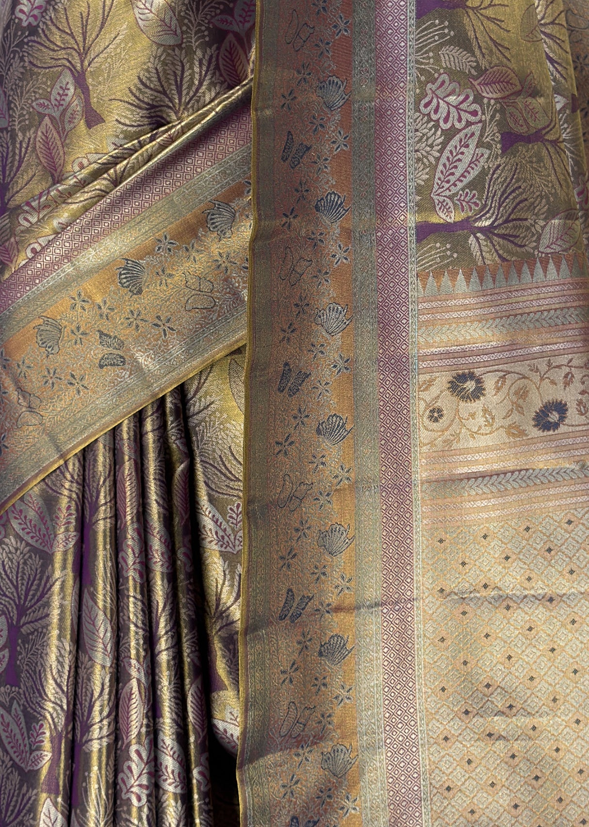 MIMOSA Saree Saree — fleets shot full lifestyle