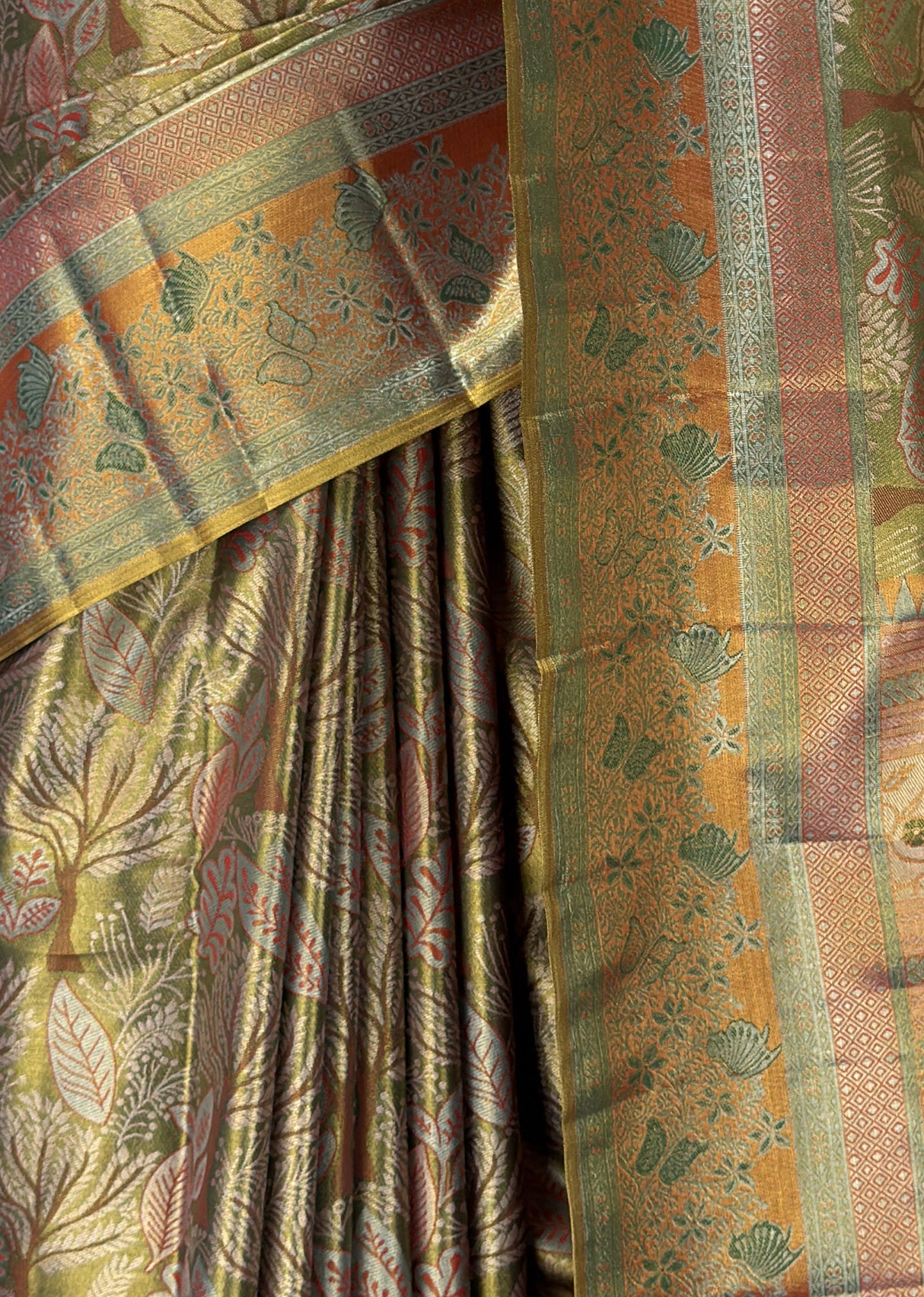 MIMOSA Saree Saree — fleets shot full lifestyle