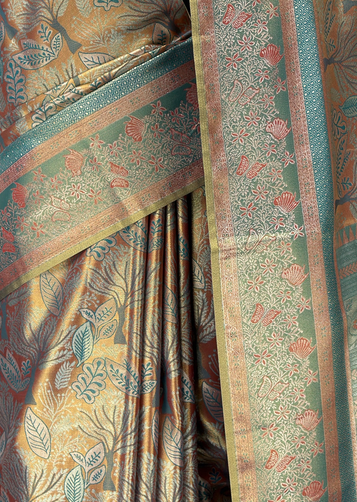 MIMOSA Saree Saree — fleets shot full lifestyle