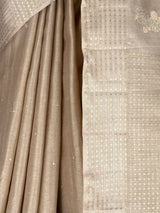 MIMOSA Saree Saree — fleets shot full lifestyle