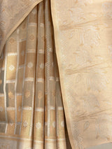 MIMOSA Saree Saree — fleets shot full lifestyle
