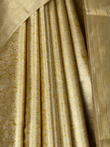 MIMOSA Saree Saree — fleets shot full lifestyle