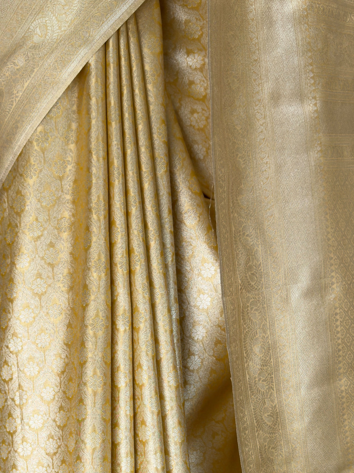 MIMOSA Saree Saree — fleets shot full lifestyle