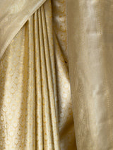 MIMOSA Saree Saree — fleets shot full lifestyle