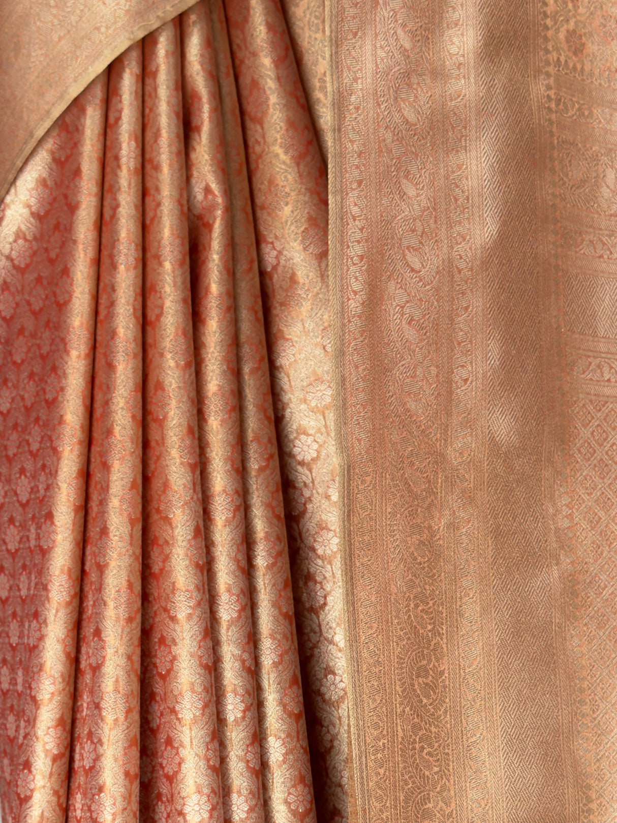 MIMOSA Saree Saree — fleets shot full lifestyle