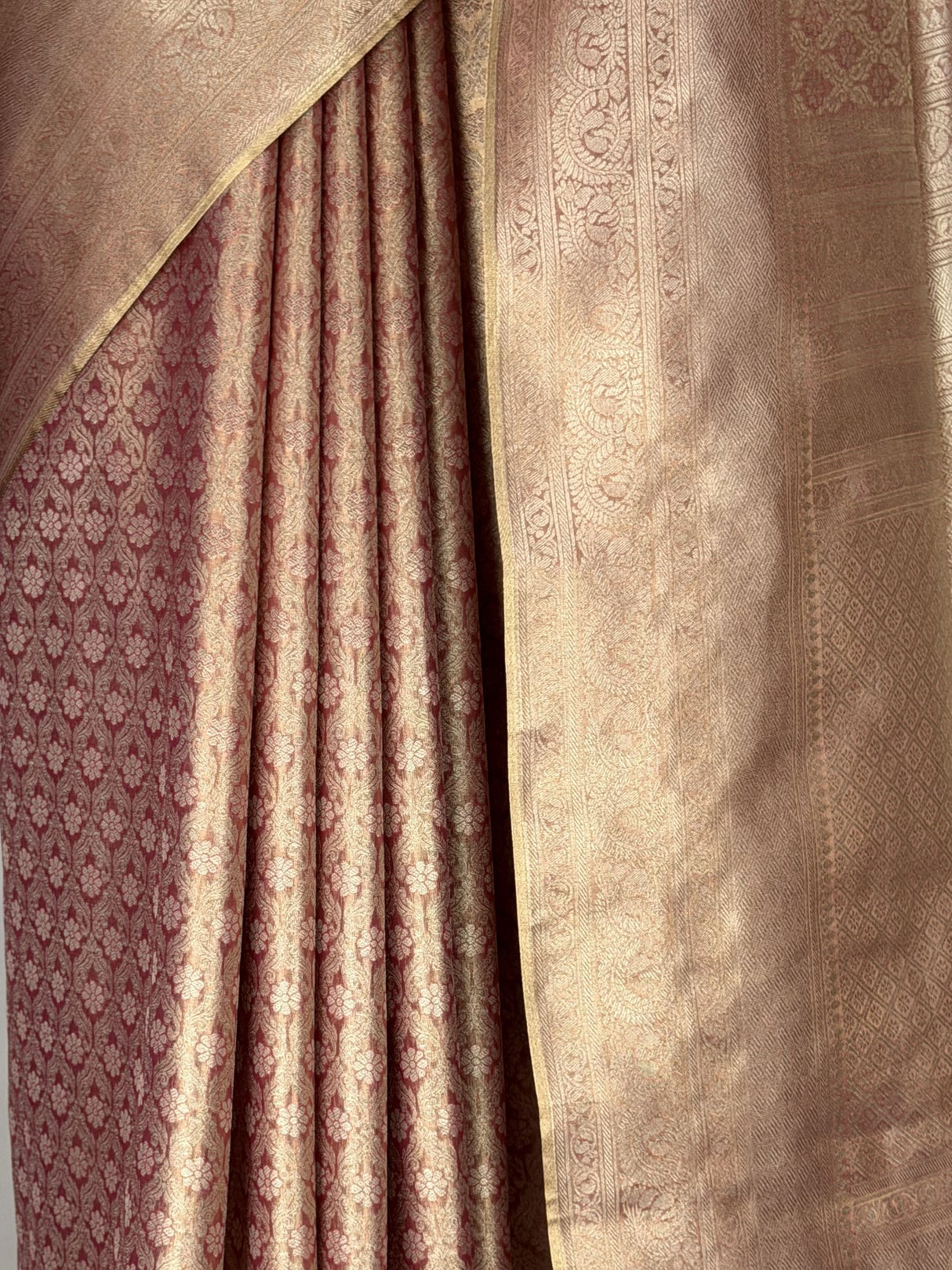 MIMOSA Saree Saree — fleets shot full lifestyle