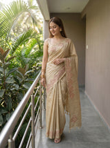 MIMOSA Chiku Saree Saree — pose 9 styling detail