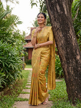 MIMOSA Gold Saree Saree — pose 9 styling detail