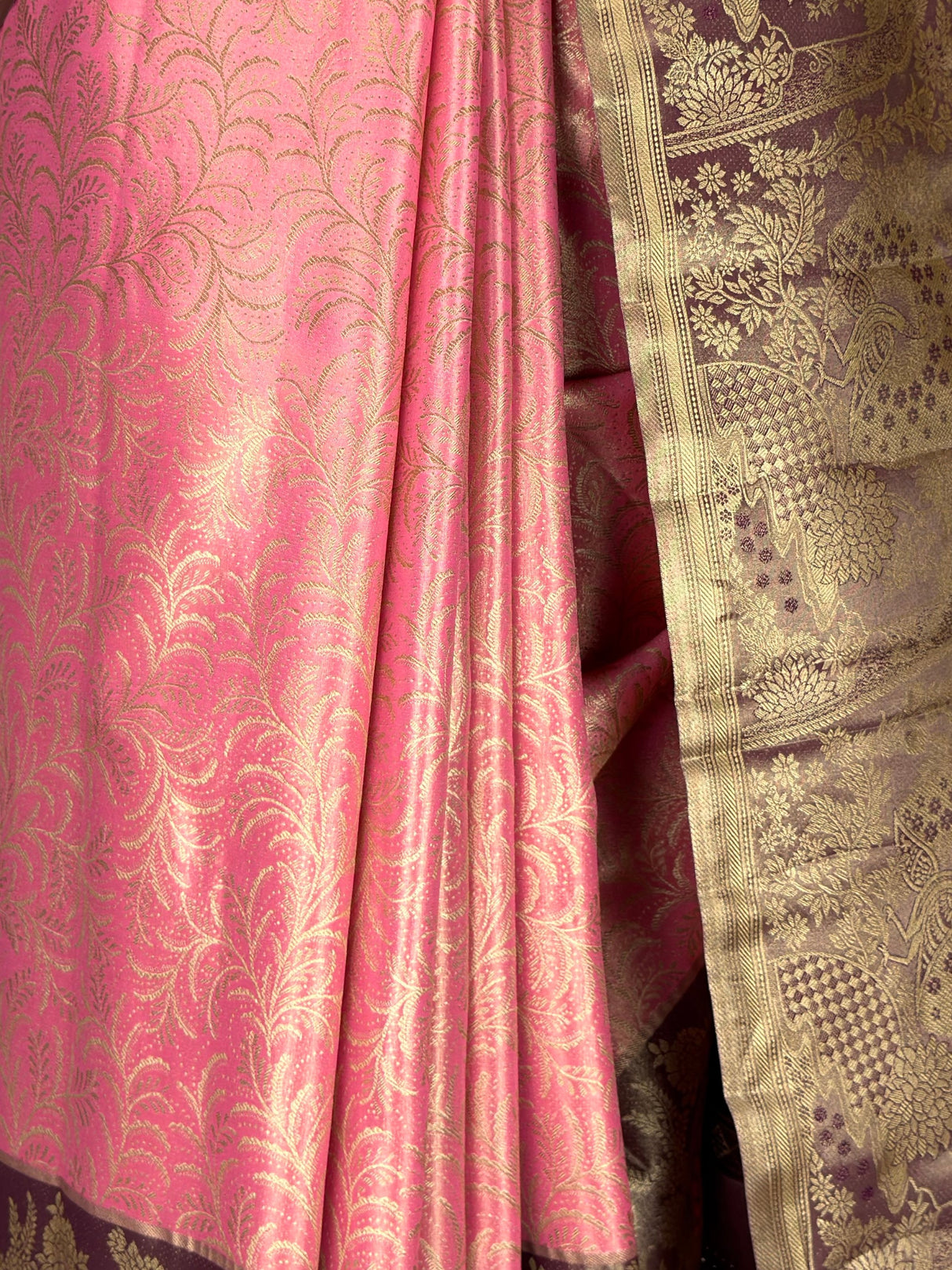 MIMOSA Saree Saree — fleets shot full lifestyle