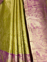 MIMOSA Saree Saree — fleets shot full lifestyle