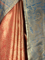 MIMOSA Saree Saree — fleets shot full lifestyle