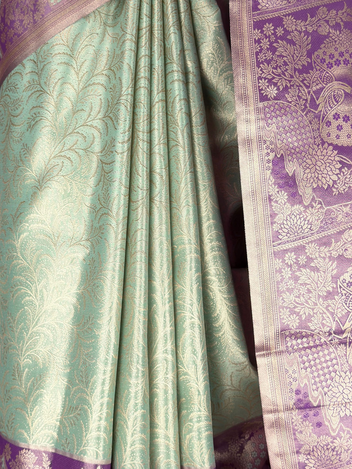 MIMOSA Saree Saree — fleets shot full lifestyle