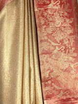 MIMOSA Saree Saree — fleets shot full lifestyle