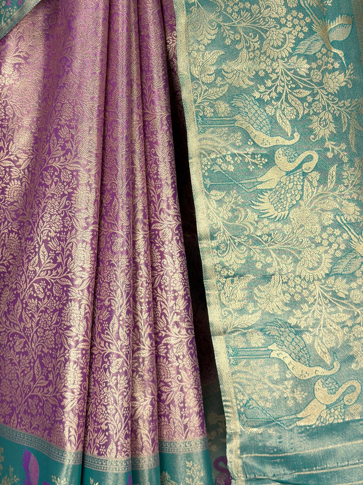 MIMOSA Saree Saree — fleets shot full lifestyle