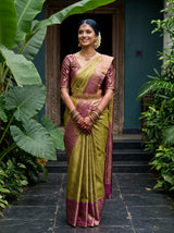 MIMOSA Saree Saree — front view on mannequin