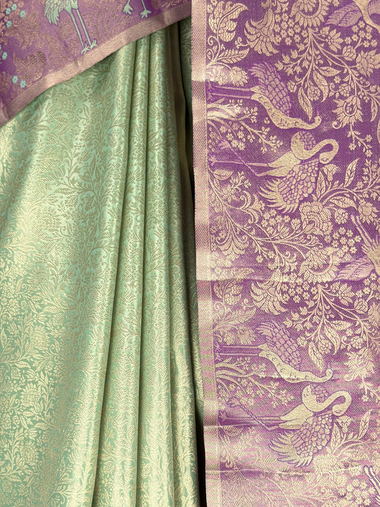 MIMOSA Saree Saree — fleets shot full lifestyle