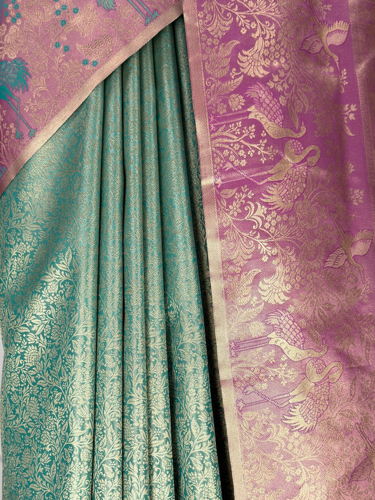 MIMOSA Saree Saree — fleets shot full lifestyle