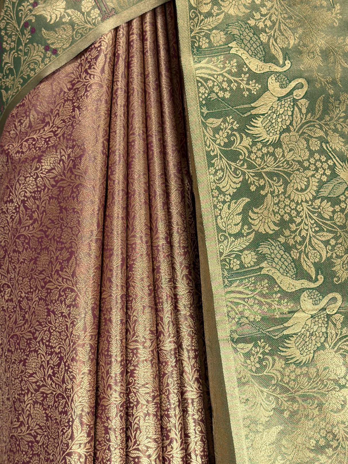 MIMOSA Saree Saree — fleets shot full lifestyle
