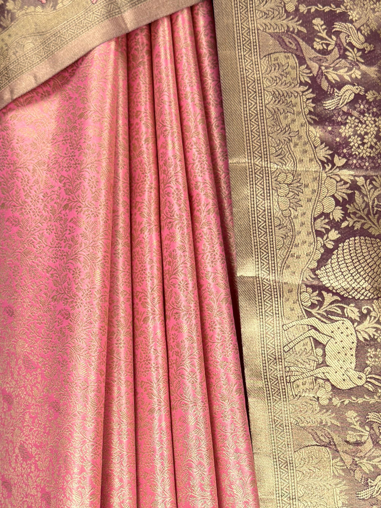 MIMOSA Saree Saree — fleets shot full lifestyle