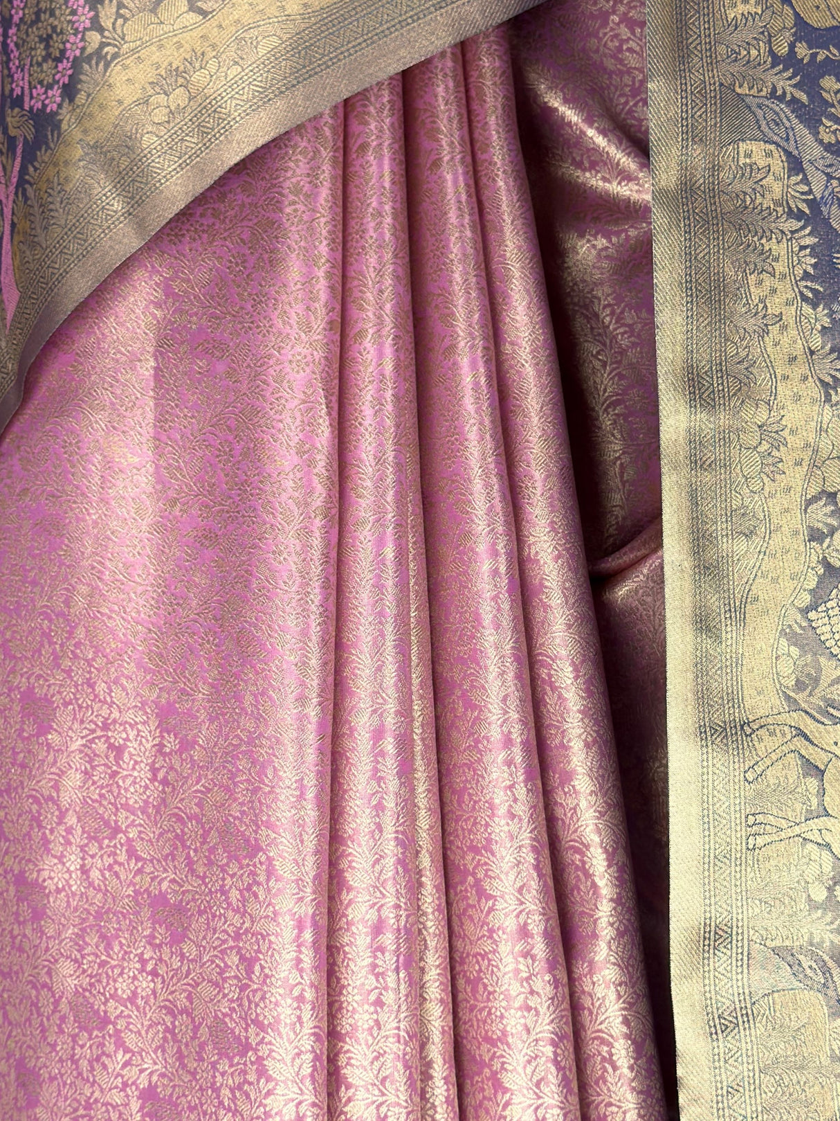 MIMOSA Saree Saree — fleets shot full lifestyle