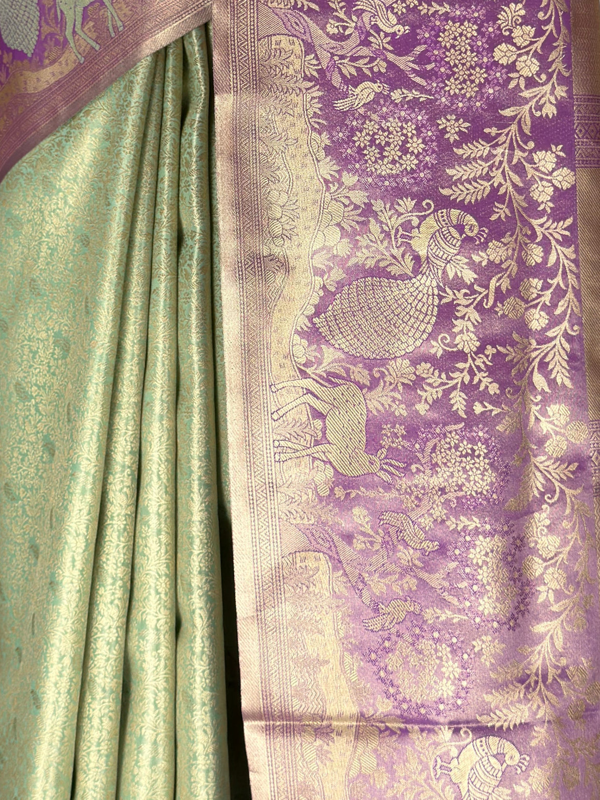 MIMOSA Saree Saree — fleets shot full lifestyle