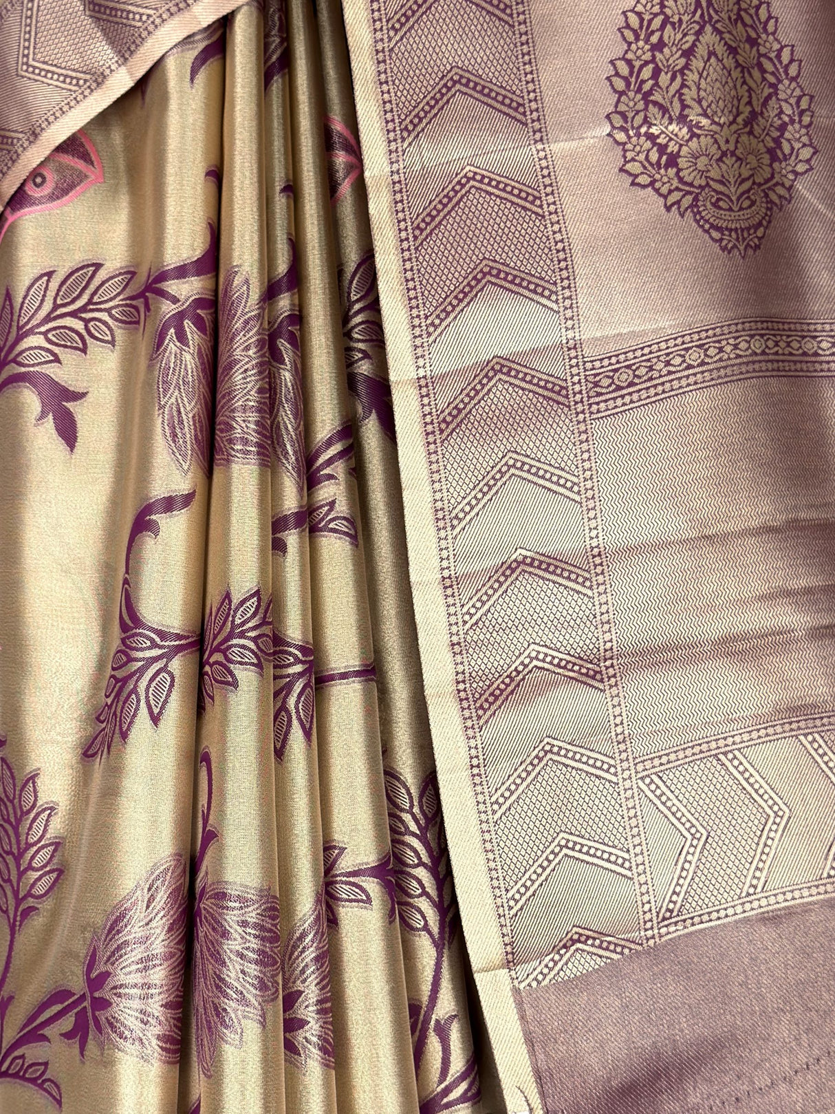 MIMOSA Saree Saree — fleets shot full lifestyle
