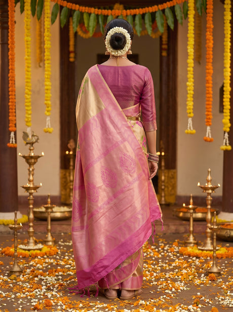 MIMOSA Saree Saree — pose 2 styling detail