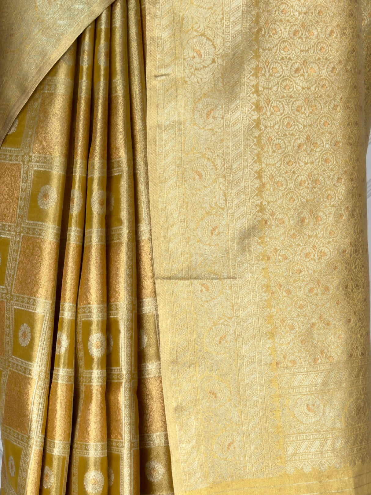 MIMOSA Saree Saree — fleets shot full lifestyle