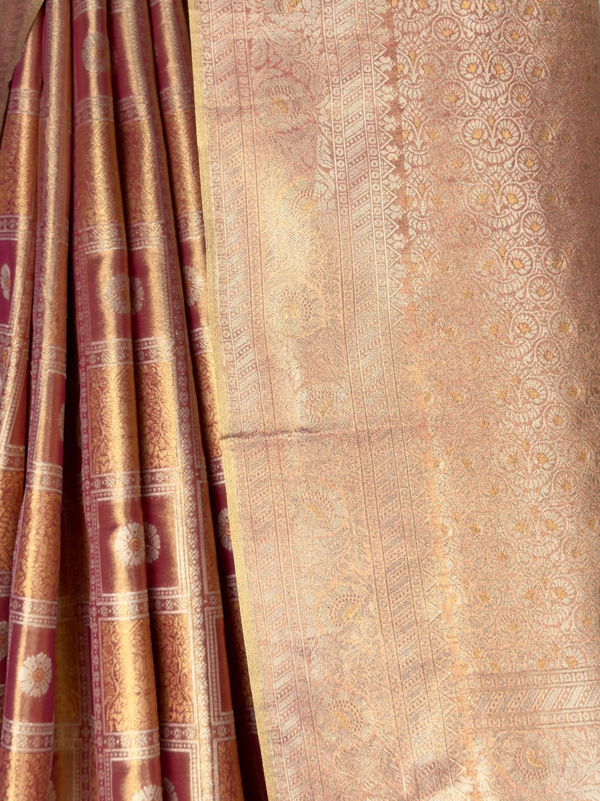 MIMOSA Saree Saree — fleets shot full lifestyle