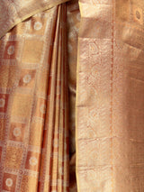 MIMOSA Saree Saree — fleets shot full lifestyle