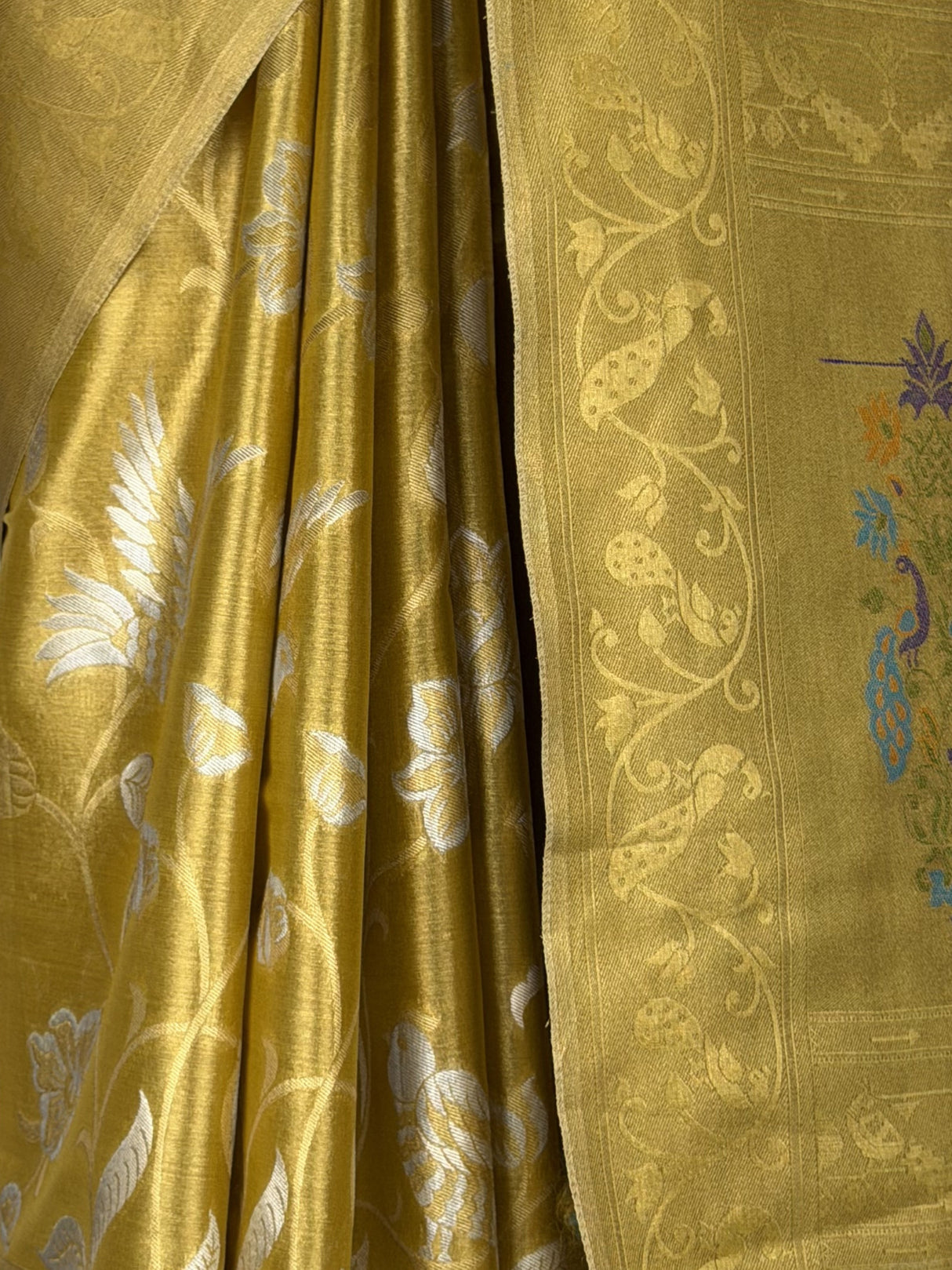 MIMOSA Saree Saree — fleets shot full lifestyle