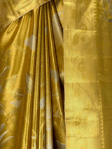 MIMOSA Saree Saree — fleets shot full lifestyle