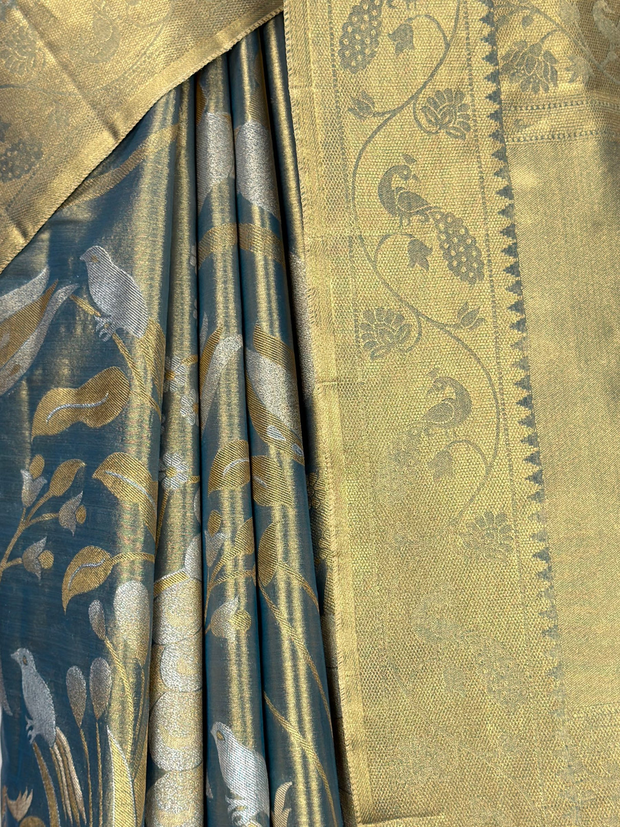 MIMOSA Saree Saree — fleets shot full lifestyle