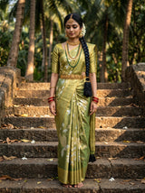 MIMOSA Saree Saree — front view on mannequin
