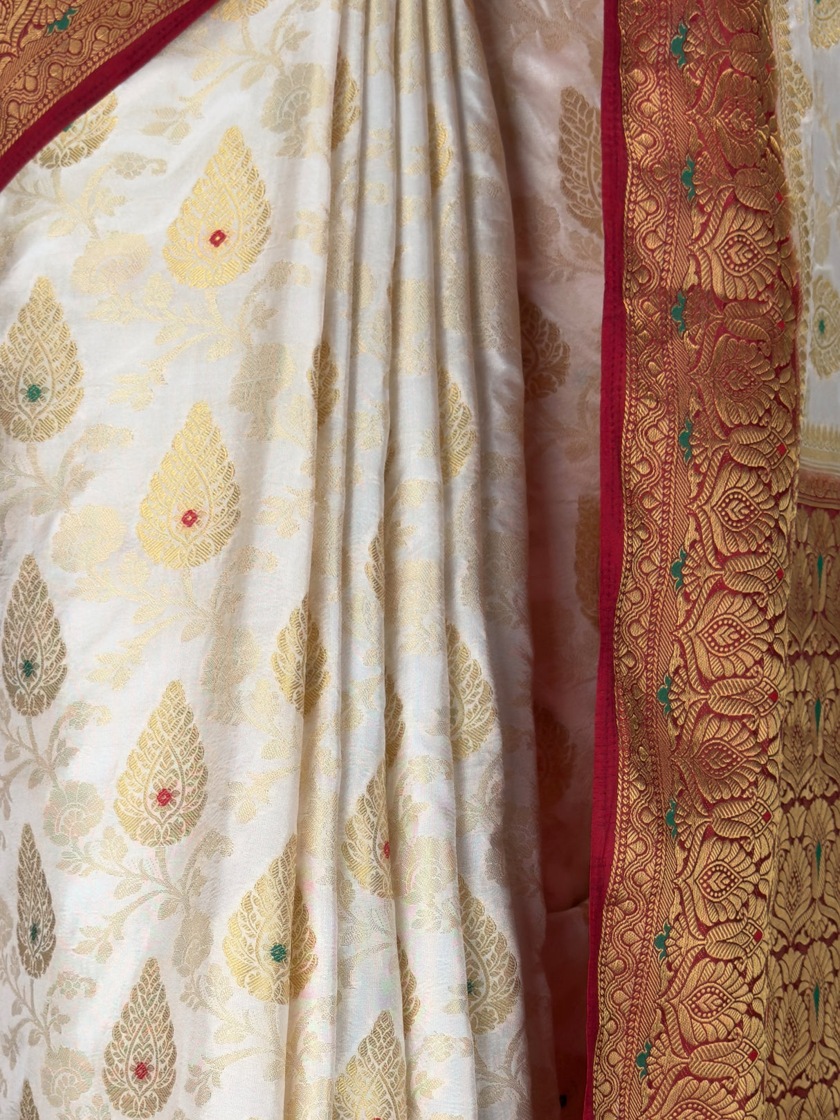 MIMOSA Saree Saree — fleets shot full lifestyle