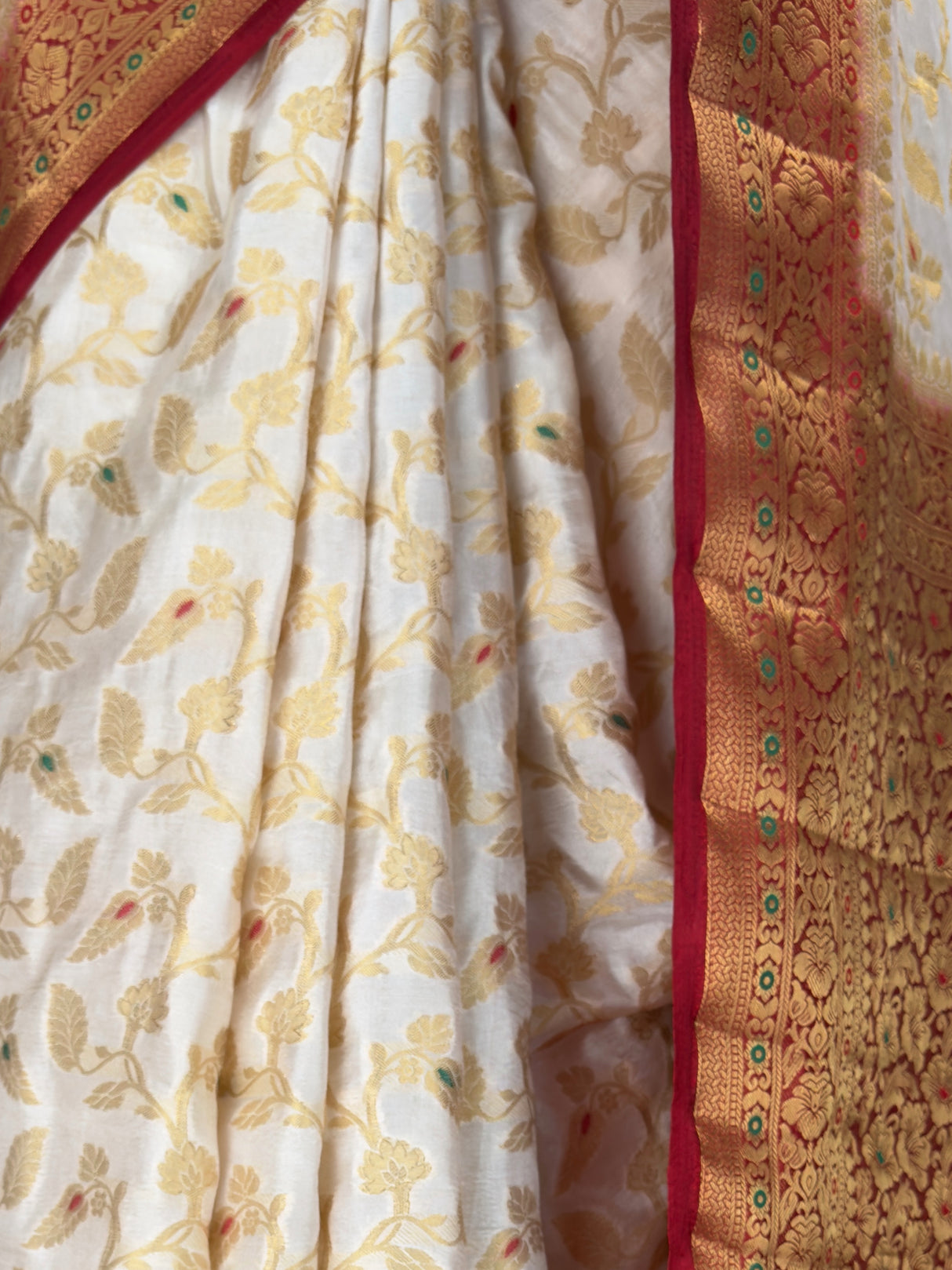 MIMOSA Saree Saree — fleets shot full lifestyle