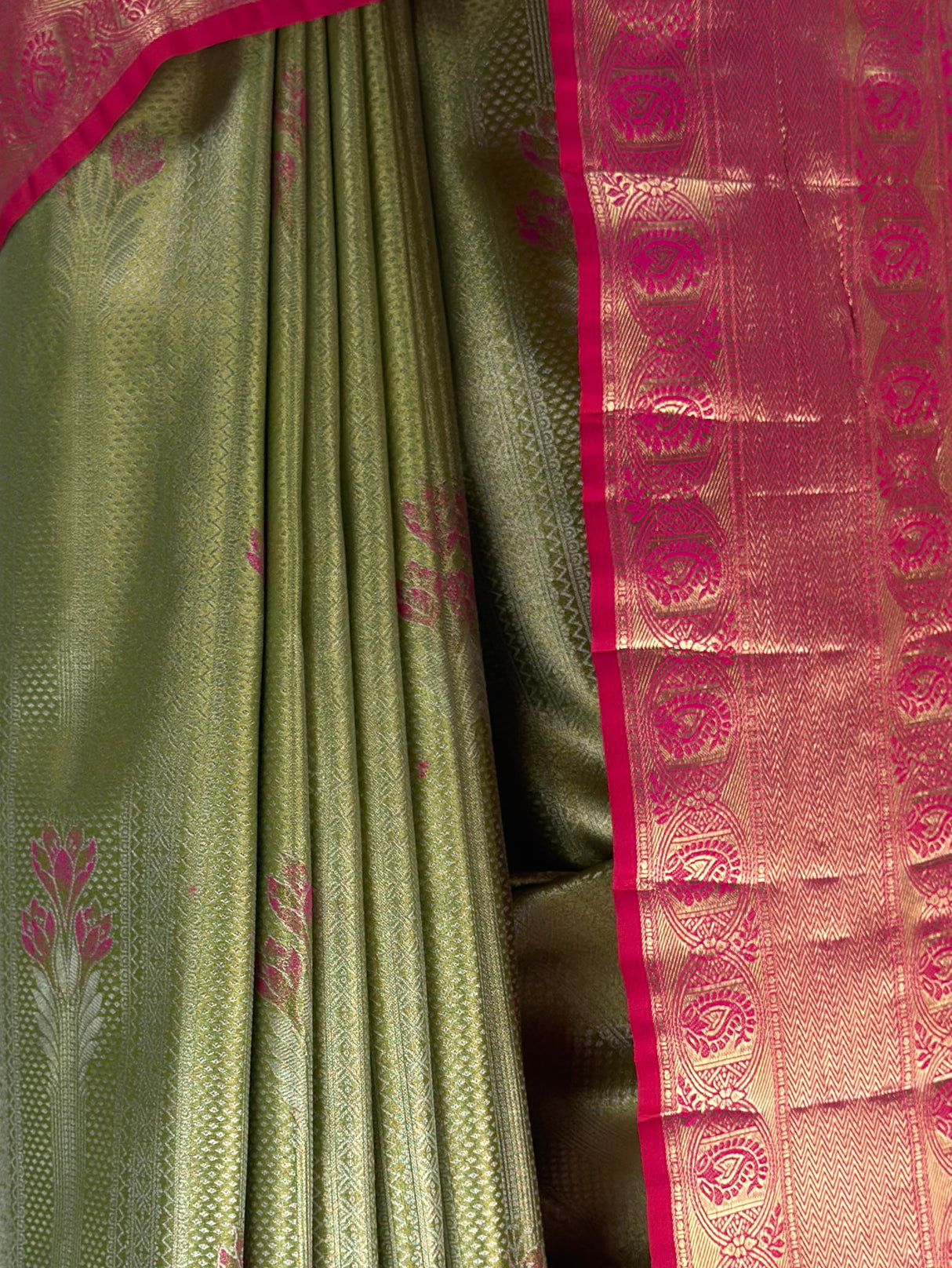 MIMOSA Green Saree Saree — fleets shot full lifestyle