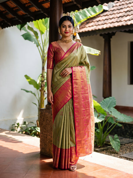 MIMOSA Olive Saree Saree — front view on mannequin