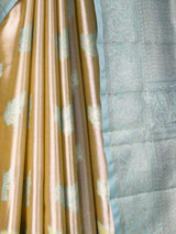 MIMOSA Saree Saree — fleets shot full lifestyle