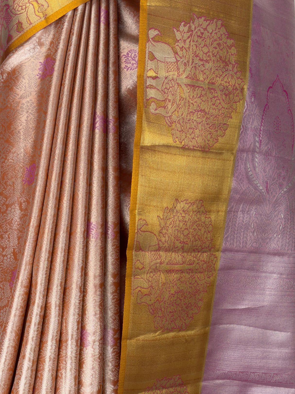 MIMOSA Saree Saree — fleets shot full lifestyle