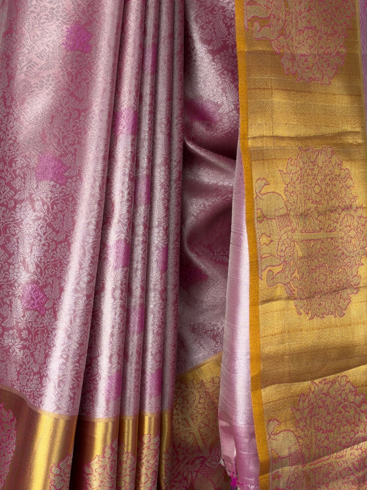 MIMOSA Saree Saree — fleets shot full lifestyle