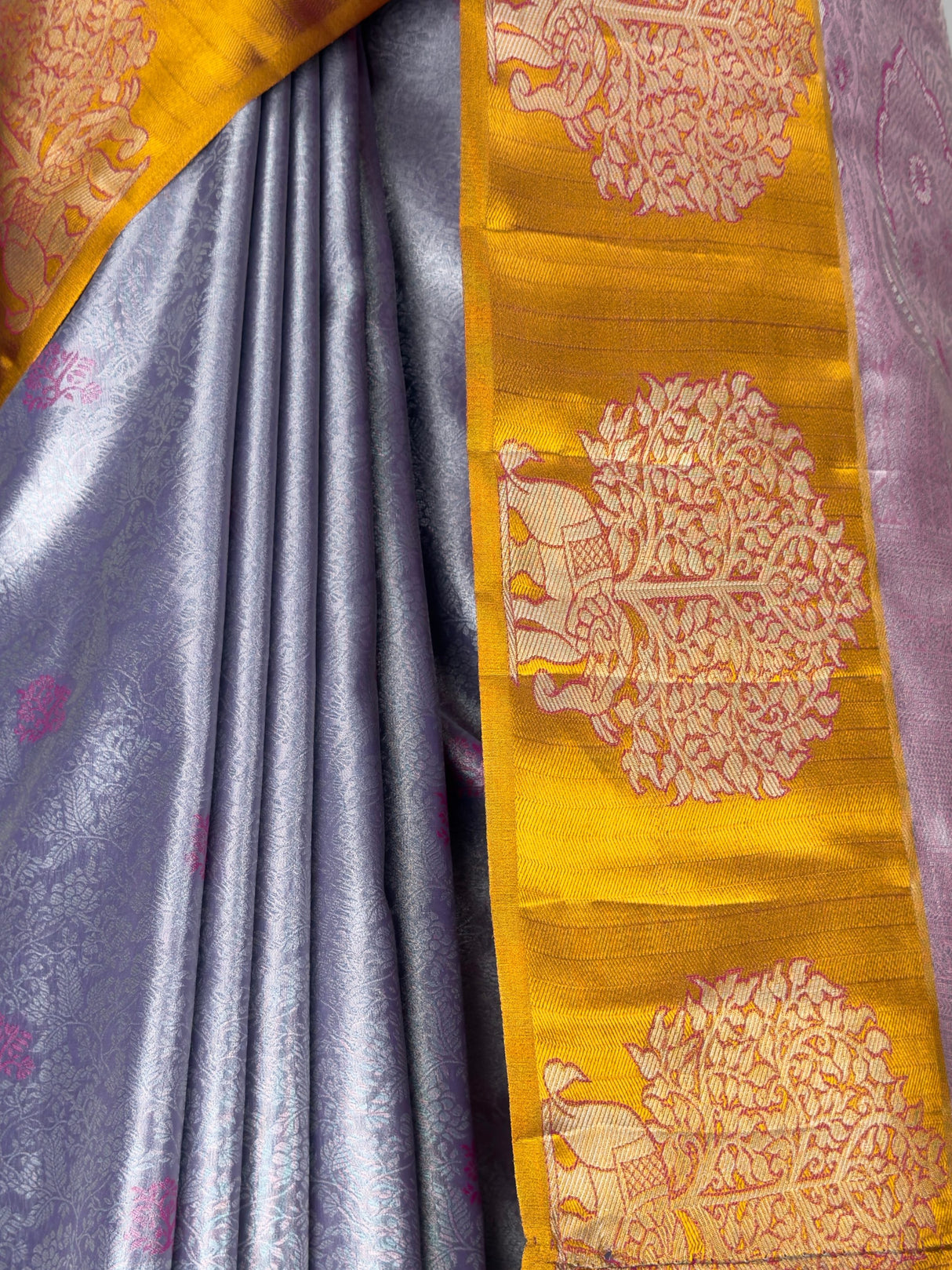 MIMOSA Saree Saree — fleets shot full lifestyle