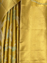MIMOSA Gold Saree Saree — fleets shot full lifestyle
