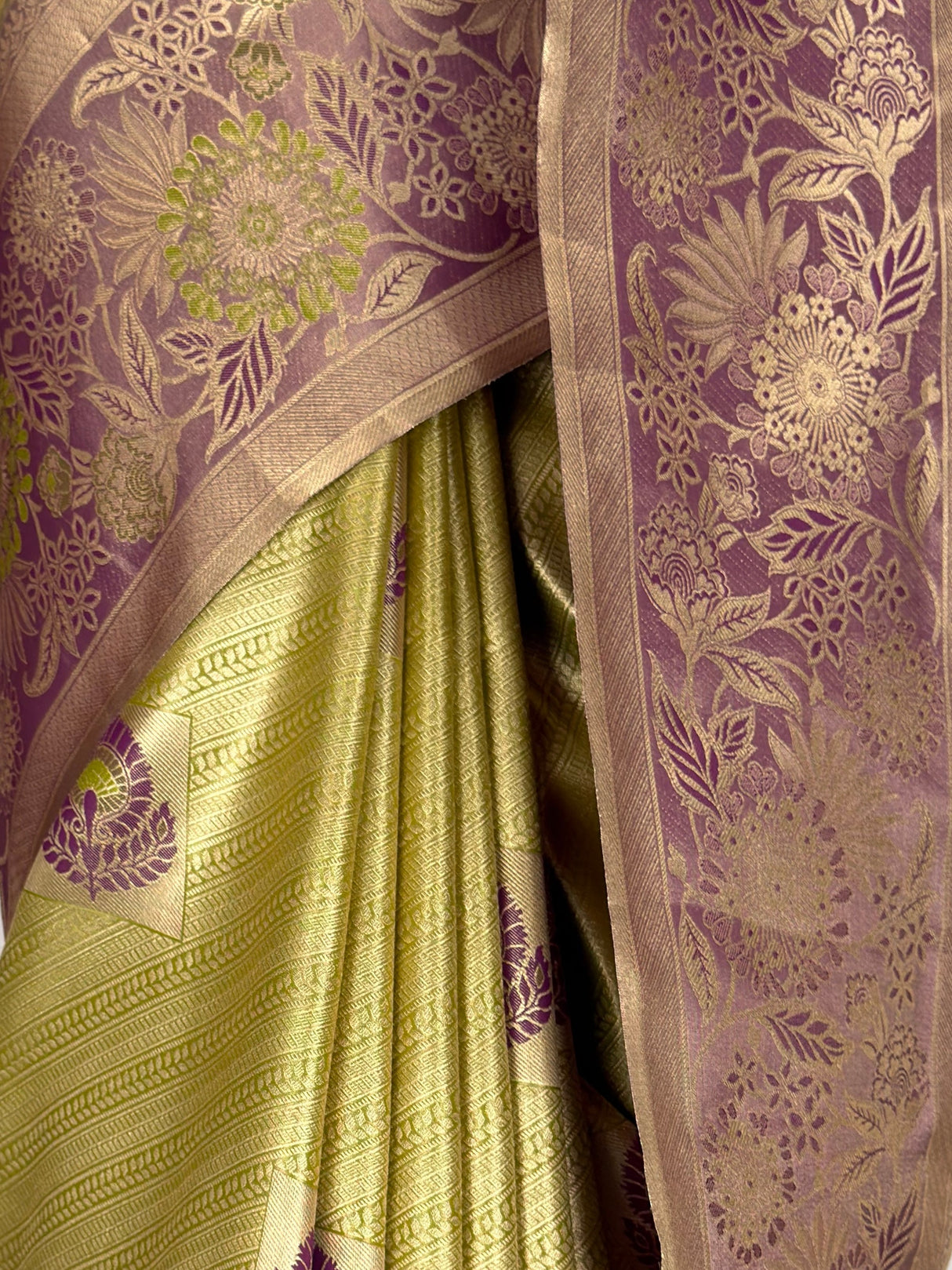 MIMOSA Saree Saree — fleets shot full lifestyle